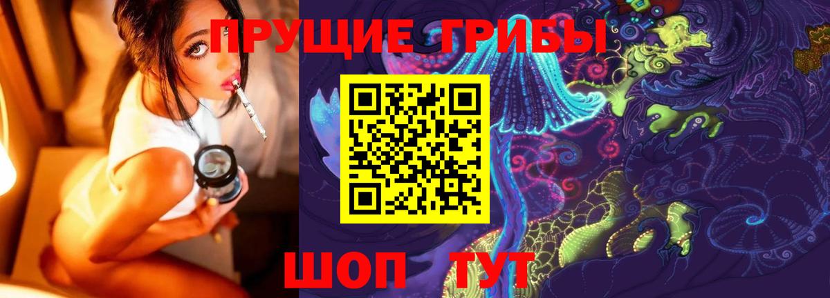 Псилоцибиновые грибы Psilocybe  Вход с VPN  Углич 